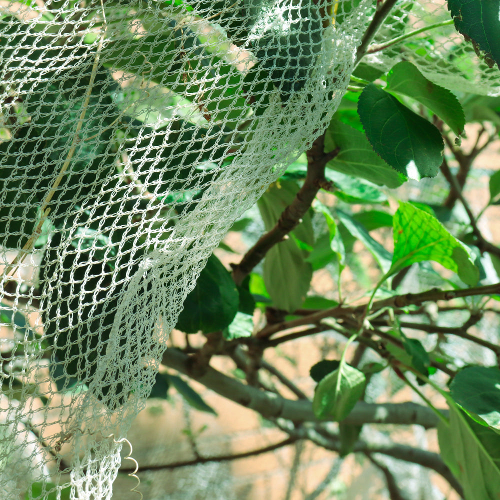 Biobird Bird Netting