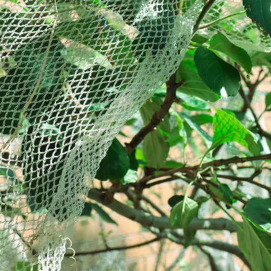 Biobird Bird Netting